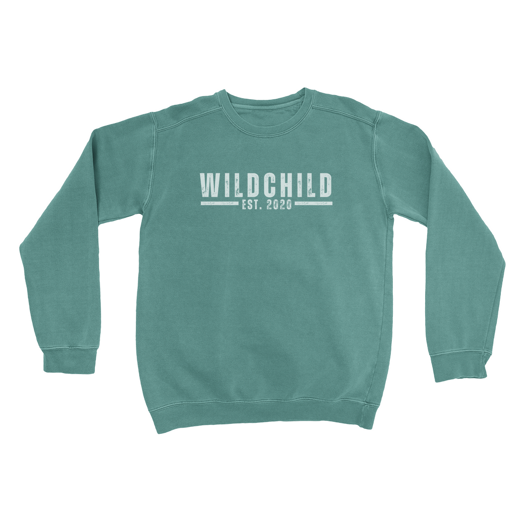 Apparel-DTG-Sweatshirt-CC-1566-3XL-BlueSpruce-Unisex-CF-20250815094912976