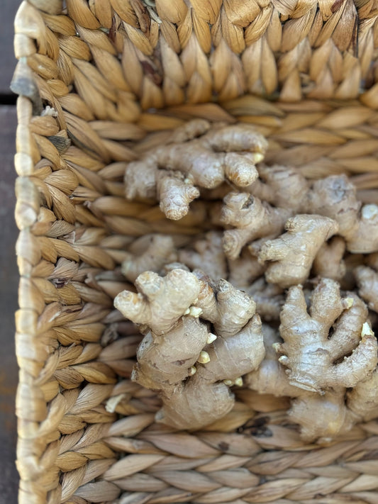 Peruvian Ginger